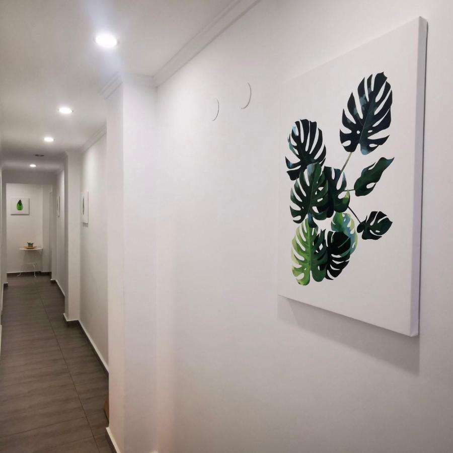 Hda Apartment Torrevieja Buitenkant foto